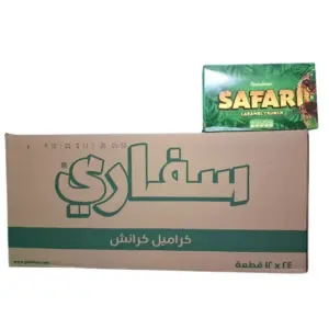 صورة لكرتون شوكولاتة غندور سفاري (Safari) باللون الأخضر المميز، تظهر العبوة الكرتونية الكبيرة والعلبة الفردية التي تضم 24 قطعة من الويفر المقرمش.